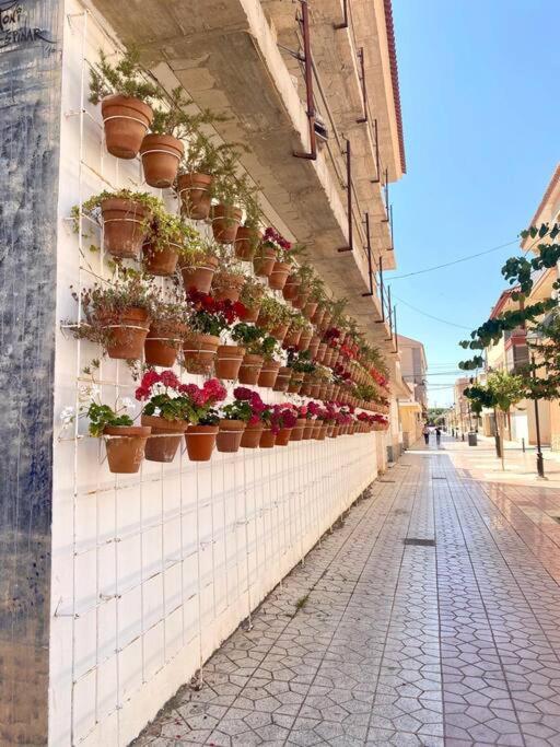 فيلا Casa Naranja لوس الكاثاريس المظهر الخارجي الصورة